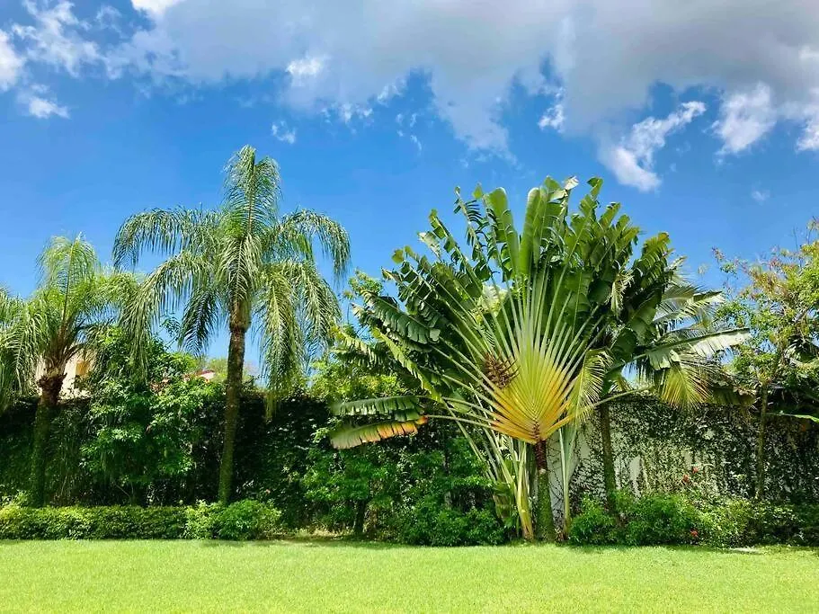 Vila Profile Cancún Mexiko