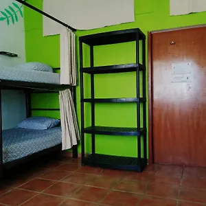 Venado-ocho Cancún